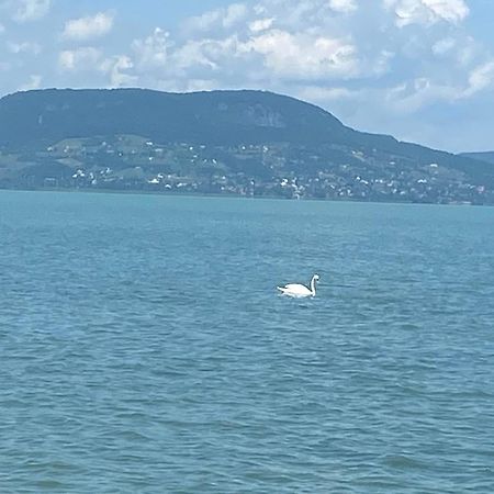 Balatonszárszó Villa Lipi - Home Away From Home מראה חיצוני תמונה